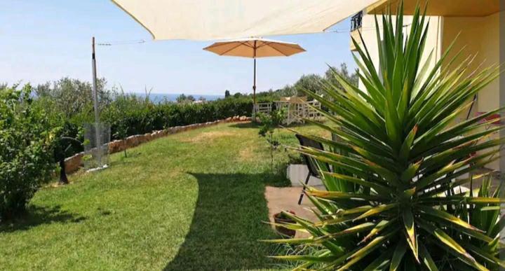 Hébergement de vacances Panorama Olive Garden